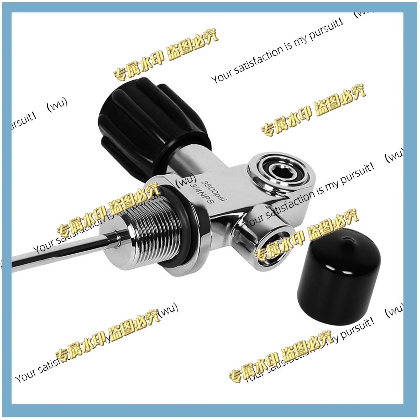 스테인리스 스틸 다이빙 실린더 밸브 고유량 DIN YO - Scuba Tank Valve Din Yoke Convertible 리뷰 및 가격